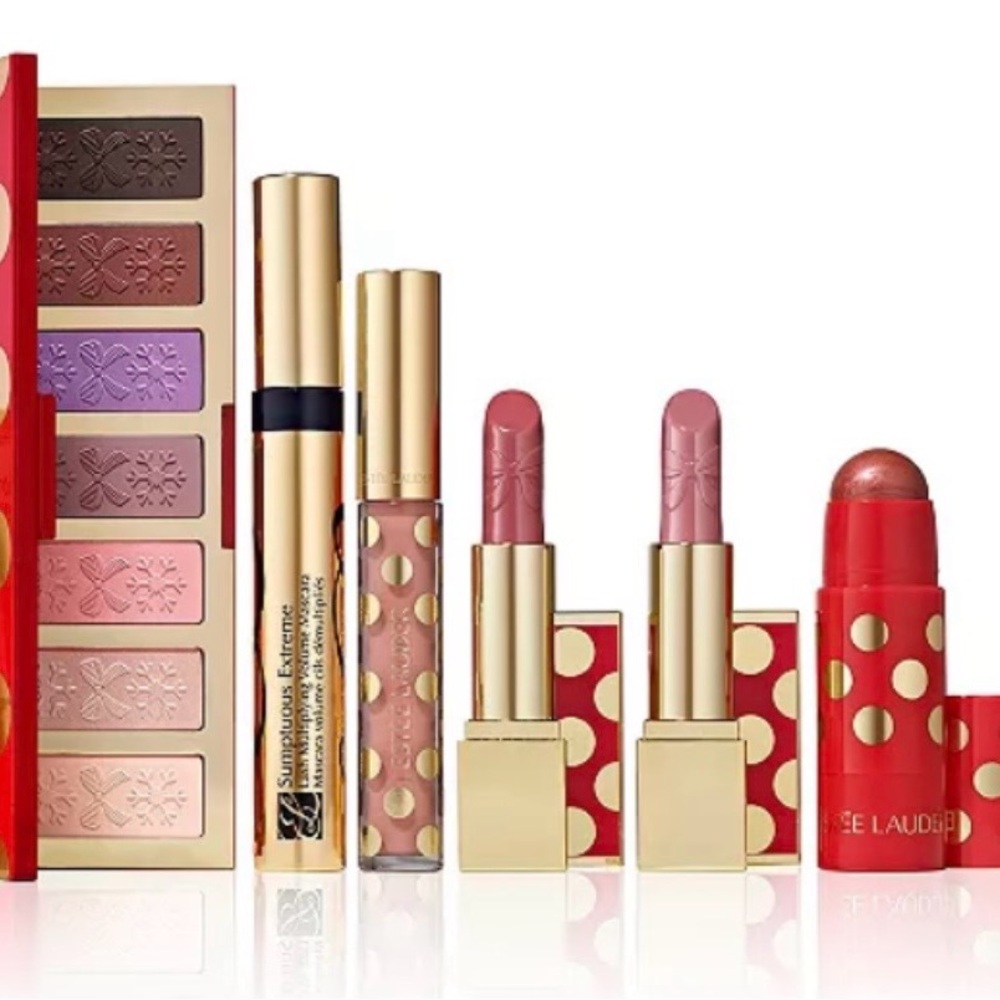 Estee Lauder Makeup Set (6 pcs)